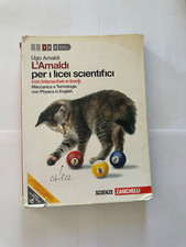 L’Amaldi per i licei