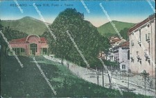 ce467 cartolina recoaro viale r.r.fonti teatro provincia di vicenza veneto