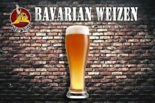 KIT RICETTA BIRRA FATTA IN