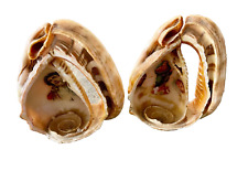 Vintage PAIR Religious Votive