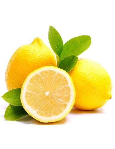 Pianta limone zagara bianca - limone,