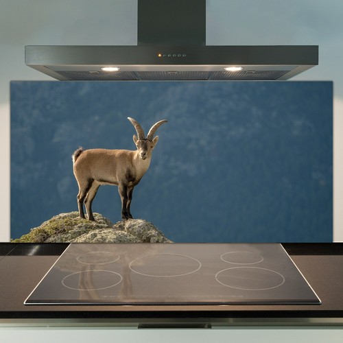 Cucina splashback vetro - cucina,