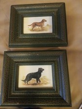 Joel Kirk Golden Setter &