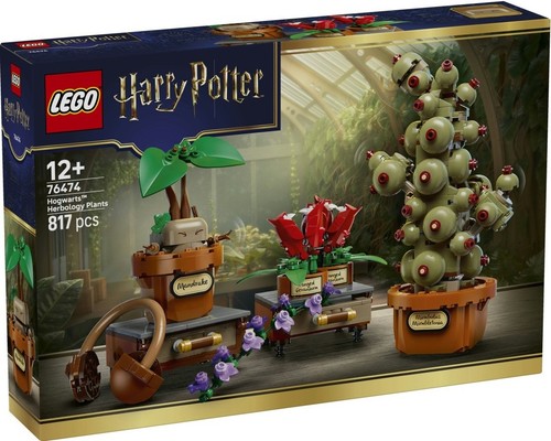 Lego 76474 harry potter - harry,