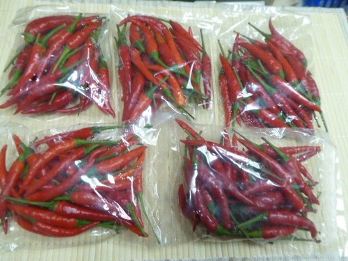 Fresco piccante rosso asia - rosso,