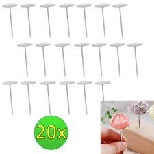 Set 20 chiodi per fiori