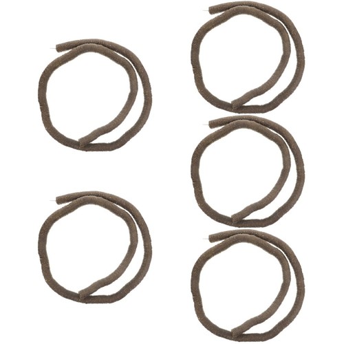 Rettile marrone arrampicata - rettile,