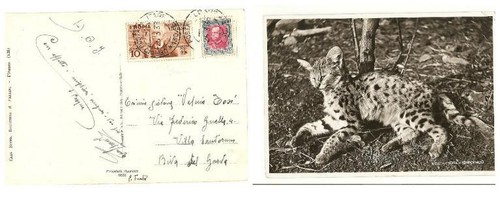 Colonie italiane cartolina - , 10