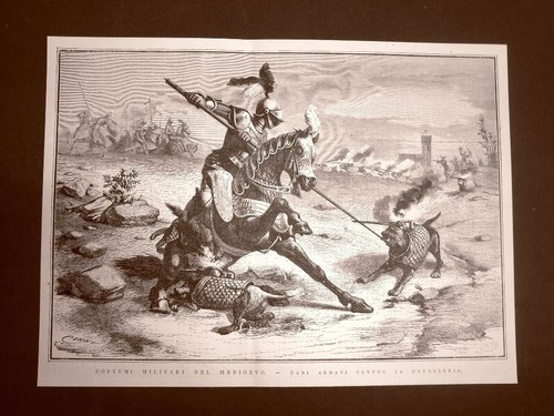 Incisione del 1877 costumi - incisione,