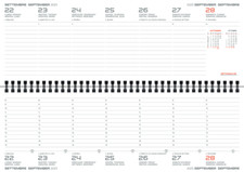 Agenda Cangini Filippi