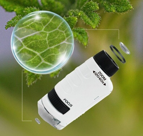 Mini microscopio tascabile con - microscopio,