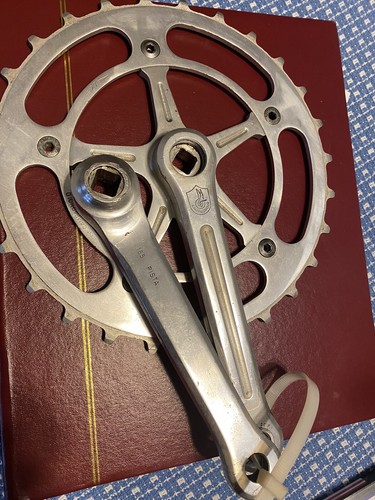 Guarnitura campagnolo pista - guarnitura,
