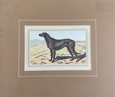 Cromolitografia in Pass acquerellato a mano Inizi ‘900 Cane da caccia