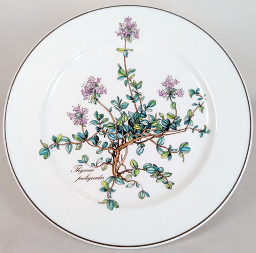 Villeroy boch botanica - villeroy,