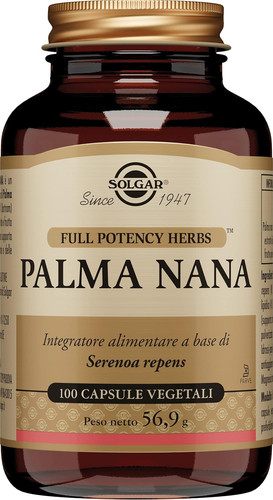 Palma nana serenoa repens - –,