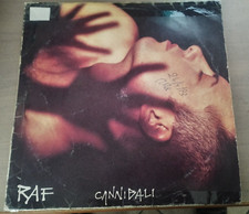 Raf - Cannibali - Vinile LP CGD 1993 con  contributo musicale di Dodi Battaglia