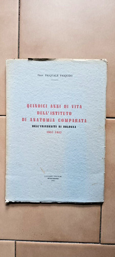 Bologna pasquini quindici - bologna/p., pasquini-quindici