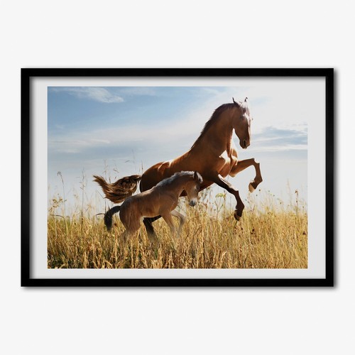 Quadro tulup mdf incorniciato - quadro,