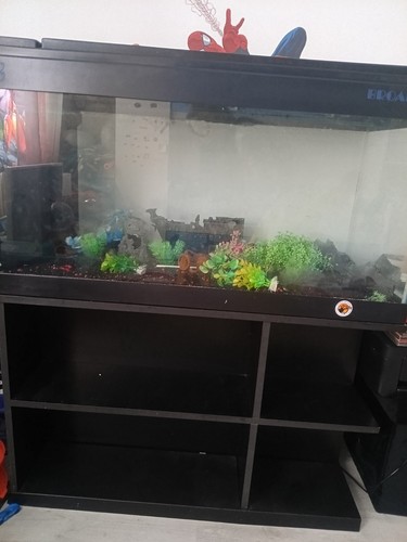 Acquario broadway 990 - 990, da