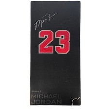 ENTERBAY UPPER DECK Michael