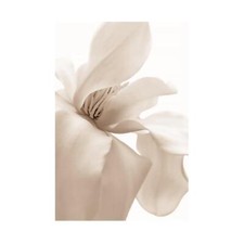 Poster con cornice moderno