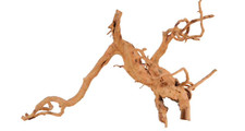 Radice naturale Red Wood 40-50