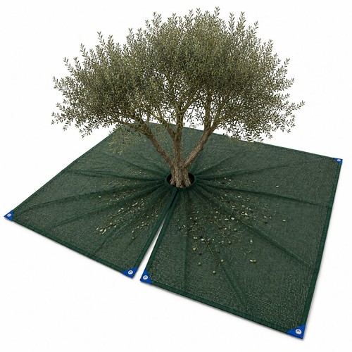 Telo rete raccolta olive - telo,
