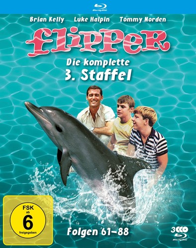 Flipper die komplette 3 - komplette,