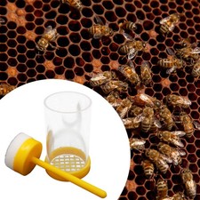 Gabbia per Api Regine