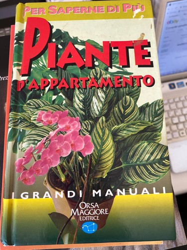 Piante appartamento grandi - piante, d'appartamento.