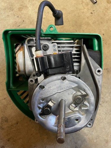 Weed eater fl1500 motore - eater,