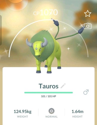 Shiny tauros pokemon - ✨, shiny✨