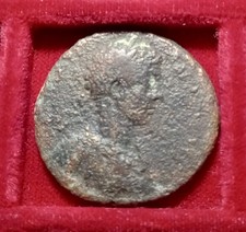 Caracalla. Ponto, Neocaesarea