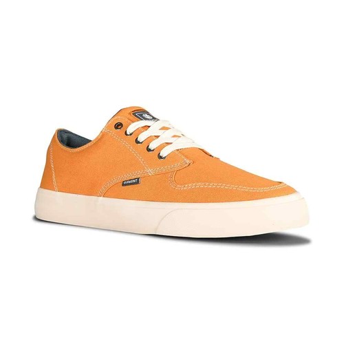 Scarpe skate element - skate,