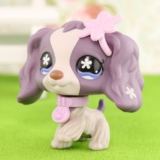 Cocker Spaniel Cane Viola #672