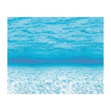 Carta Scenografica Fondale