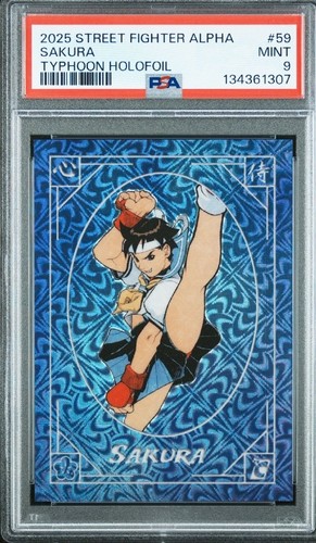 2025 cardsmiths street fighter - 2025,