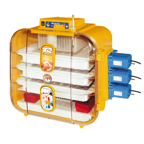 Novital incubatrice cova 162 - incubatrice,