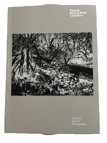 Polaroid black white - white, land