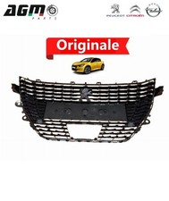 Griglia radiatore originale