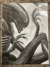 Film Nascita Morte Alamo