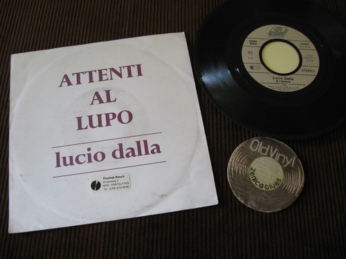 Single attenti al lupo - single,