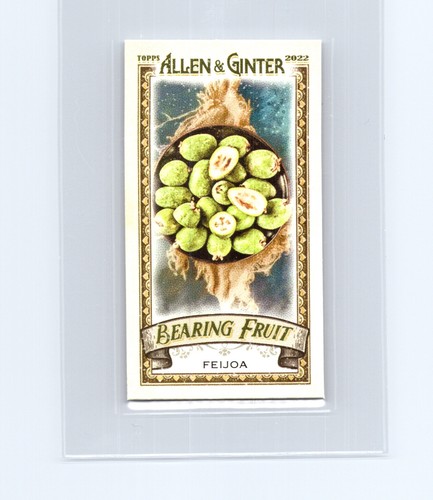2022 topps allen ginter - allen,