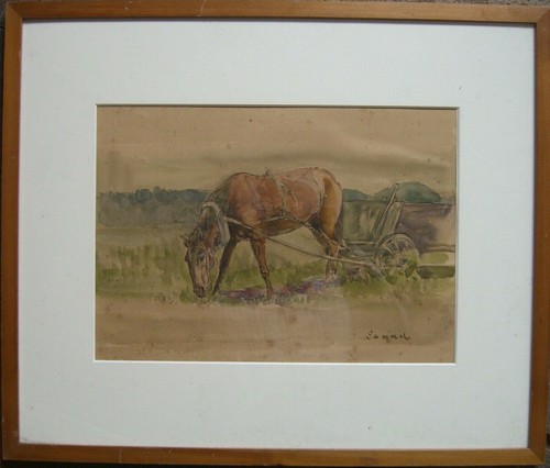 Zurad cavallo braun - zurad,