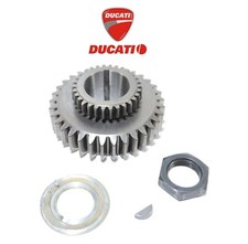 Ingranaggio primario alberomotore originale Ducati per Monster 600 750 1998 2001
