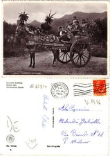 Cartolina d'epoca - PALERMO - CARRETTO SICILIANO