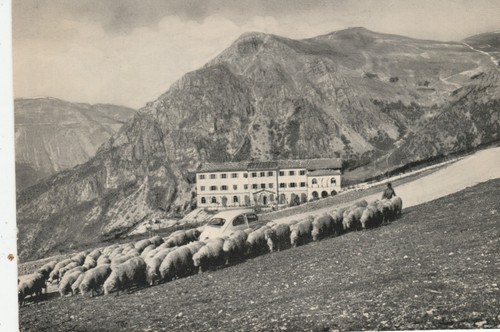 Cartolina frontignano di - frontignano,