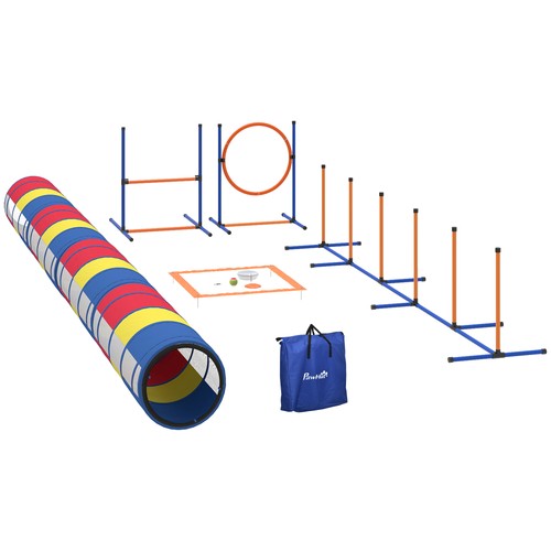 Dog agility training - agility,