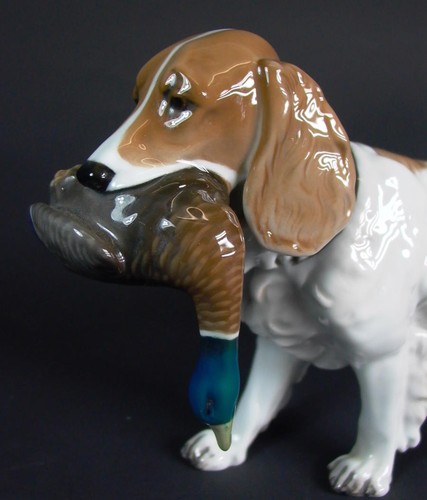 Raro cane caccia con - da,