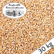 (1,23€/1kg) 30 kg Semi di